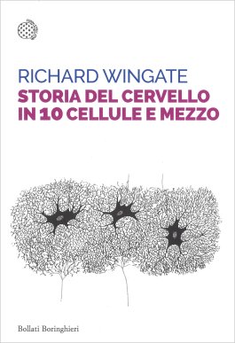 Storia del Cervello in 10 Cellule e Mezzo — Libro - 1