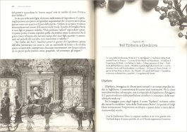Storia del Natale — Libro - 3