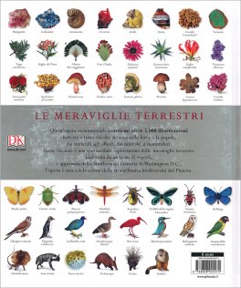 Storia Naturale — Libro - 2