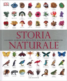 Storia Naturale — Libro - 1