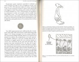 Storia Naturale della Birra — Libro - 3
