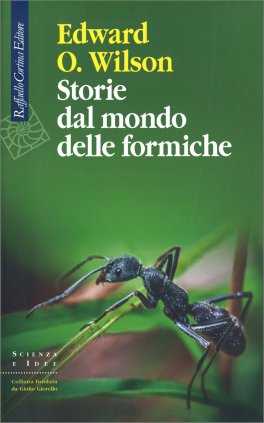 Storie dal Mondo delle Formiche — Libro - 1
