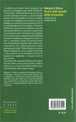 Storie dal Mondo delle Formiche — Libro - 2
