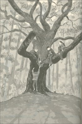 Storie di Montagna — Libro - 4
