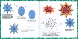 Strappa e Piega - Origami Fiori — Libro - 3