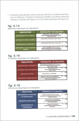 Strategia di Mercato e Gestione dell'Impresa Vitivinicola — Libro - 3