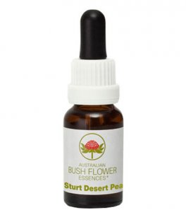 Sturt Desert Pea - Fiori australiani - 15 ml - 1
