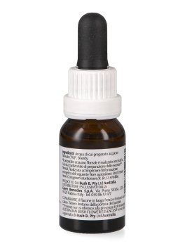 Sturt Desert Rose - Essenza Floreale Australiana Singola - 2