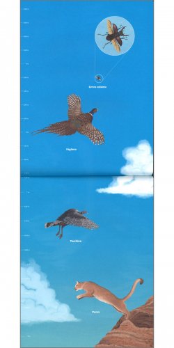 Su nel Blu — Libro - 3
