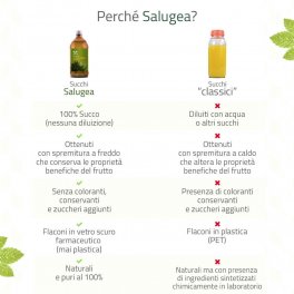 Succo di Aloe Vera Bio - 5