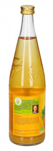 Succo di Ananas Bio - 3