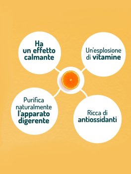 Succo di Arancia Carota Limone Bio  - Senza Zuccheri Aggiunti - 6