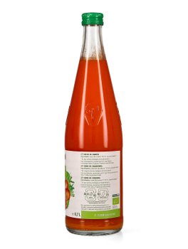 Succo di Carote Bio - 2
