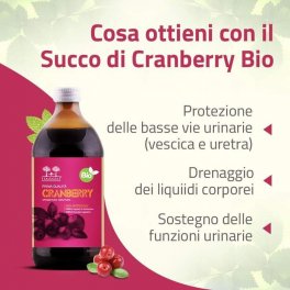 Succo di Cranberry Bio - 4