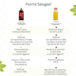 Succo di Goji Bio - 6