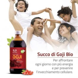 Succo di Goji Bio - 7