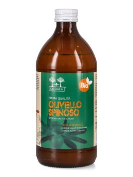 Succo di Olivello Spinoso Bio – Puro al 100% - 1