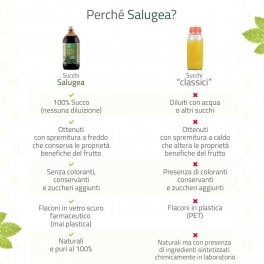 Succo di Olivello Spinoso Bio – Puro al 100% - 4