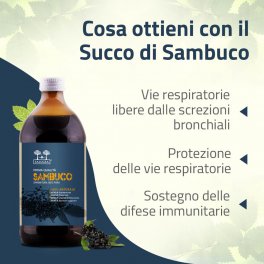 Succo Di Sambuco 500 Ml Puro Al 100 Di Salugea Macrolibrarsi It succo di sambuco 500 ml puro al 100