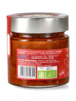 Sugo Siracusano Bio - 3
