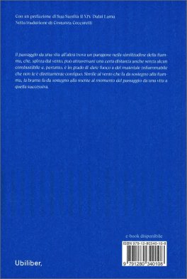 Sul Rinascere - Buddhismo Antico e Studi Contemporanei — Libro - 2