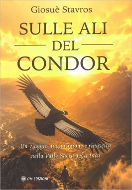 Sulle Ali del Condor — Libro - 1
