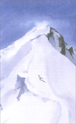 Sulle Alpi — Libro - 3