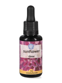Sunflower - Fiori californiani - Dose - 1