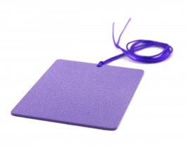 Sunny - Tesla Purple Plate - Piastra di Tesla Purpurea - Rectangle Card