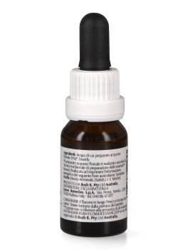 Sunshine Wattle - Essenza Floreale Australiana Singola - 2