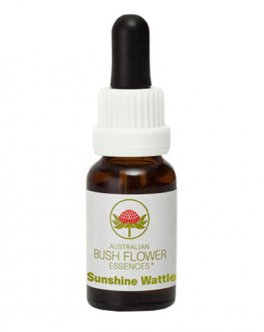 Sunshine Wattle - Essenza Floreale Australiana Singola - 1