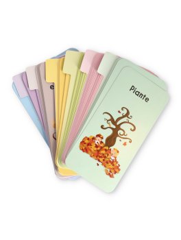 Super Quiz - Perché? - 4