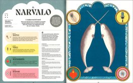 Superpoteri Animali — Libro - 3