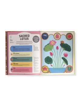 Superpowered Plants — Libro - 3