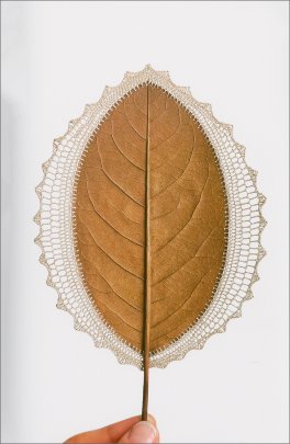 Susanna Bauer. In Leaf — Libro - 3