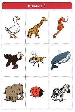 Sviluppare le Competenze Semantico-Lessicali — Libro - 5