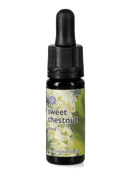 Sweet Chestnut - Dose - 1