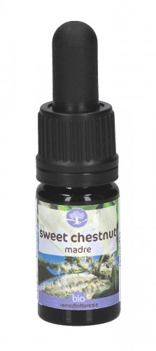 Sweet Chestnut - Soluzione Madre - 1