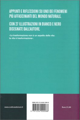 Taccuino delle Metamorfosi — Libro - 2