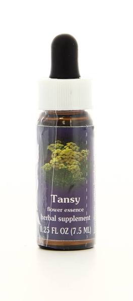 Tansy - Fiori californiani - 1