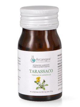 Tarassaco - 2
