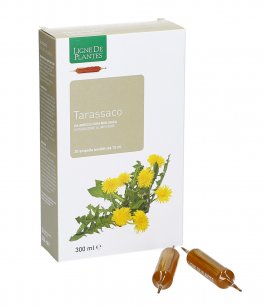 Tarassaco - Integratore di Radice di Tarassaco - 2