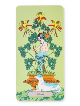Tarocchi Flora - 6