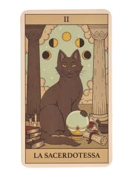 Tarocchi Magici dei Gatti - 3