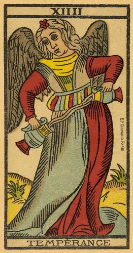 Tarot de Marseille - Edizione Limitata - 5