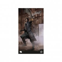 Tarot of Haunted House - Tarocchi della casa Infestata - 3