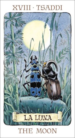 Tarot of the Gnomes - Tarocchi degli Gnomi - 3