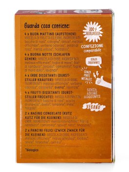 Tè alle Erbe, Speziati e alla Frutta - Assortimento Assaggino Biomonello - 4