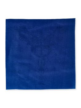 Telo Sacro Caduceo o Energia Kundalini - Stampa Dorata - 2