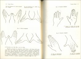 Terapia shiatsu — Libro - 3